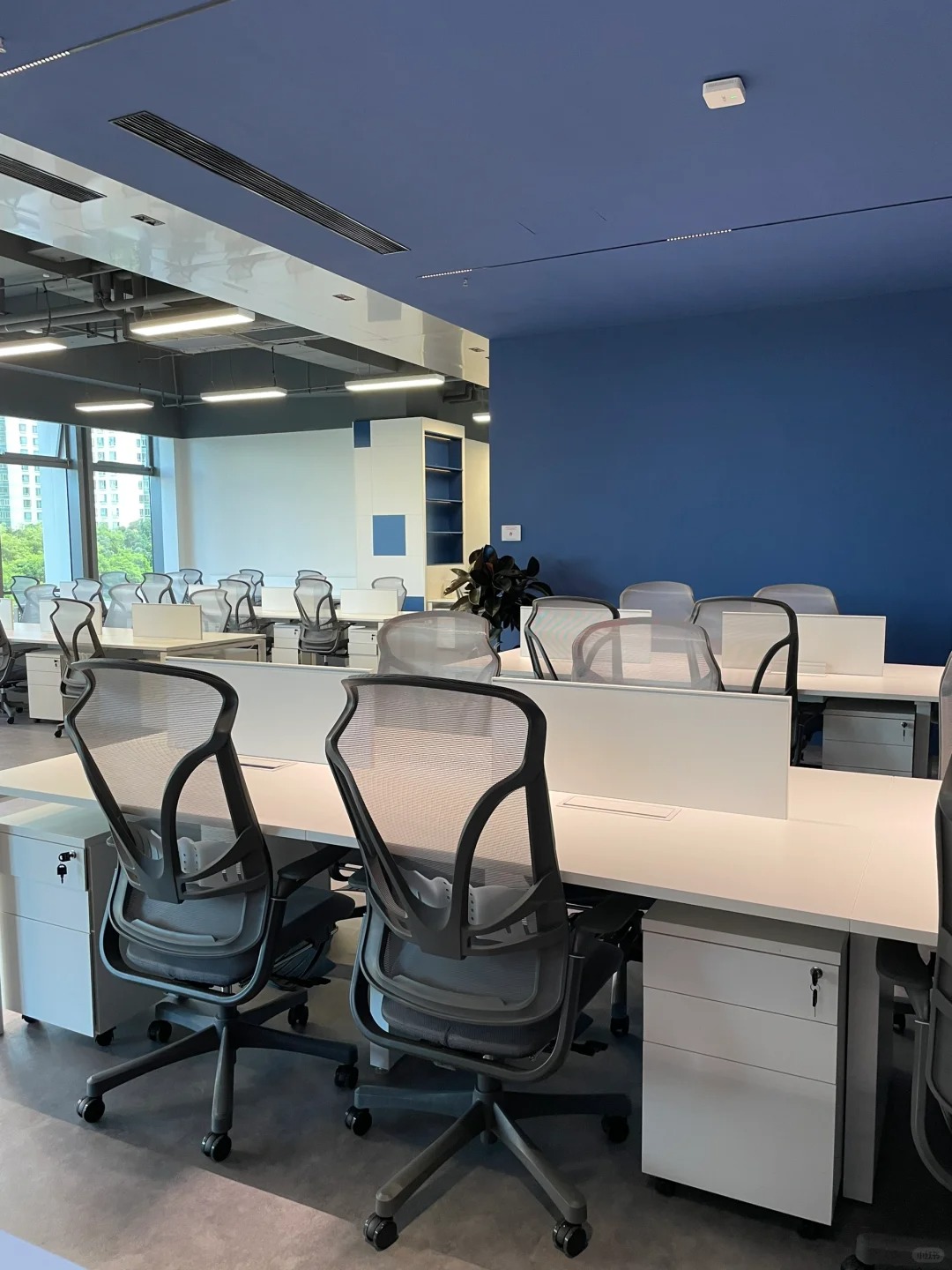 Chaises de bureau Office Max